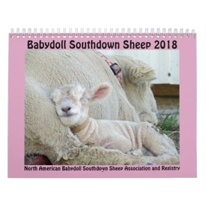2018_nabssar_babydoll_southdown_sheep_calendar-rd304922b_002