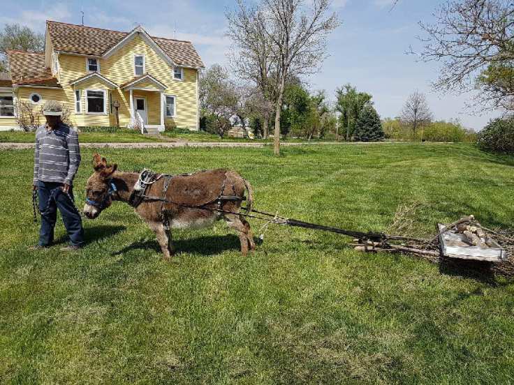 Resized952018051095151028